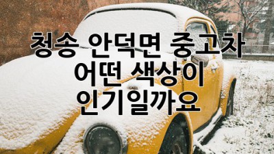 청송 안덕면 중고차, 어떤 색상이 인기일까요? 🤔