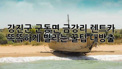 강진군 군동면 금강리 렌트카🚗 똑똑하게 빌리는 꿀팁 대방출!